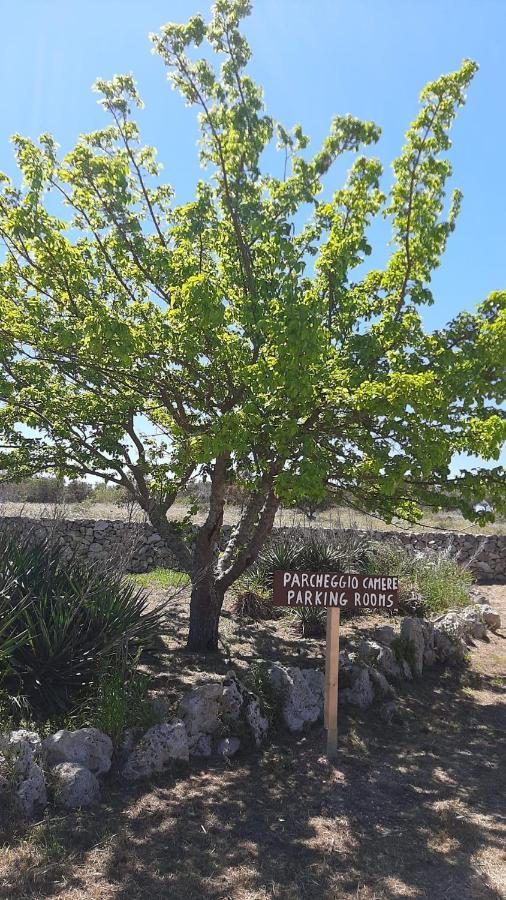 Tenuta L'Alba Di Monte Matino Otranto Ngoại thất bức ảnh